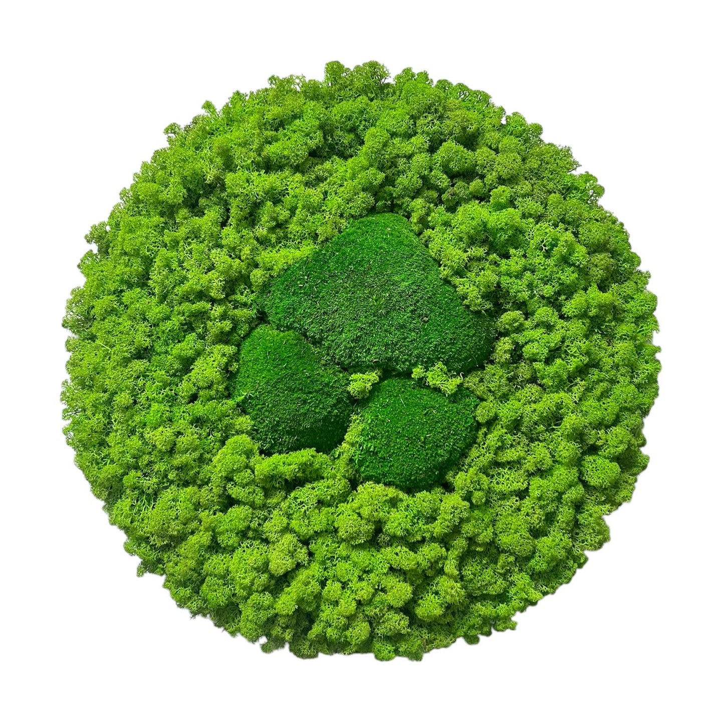 Grüne Harmonie