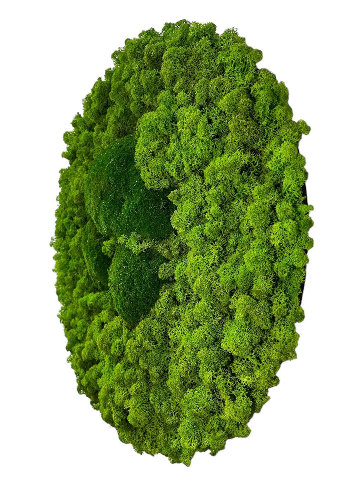 Grüne Harmonie