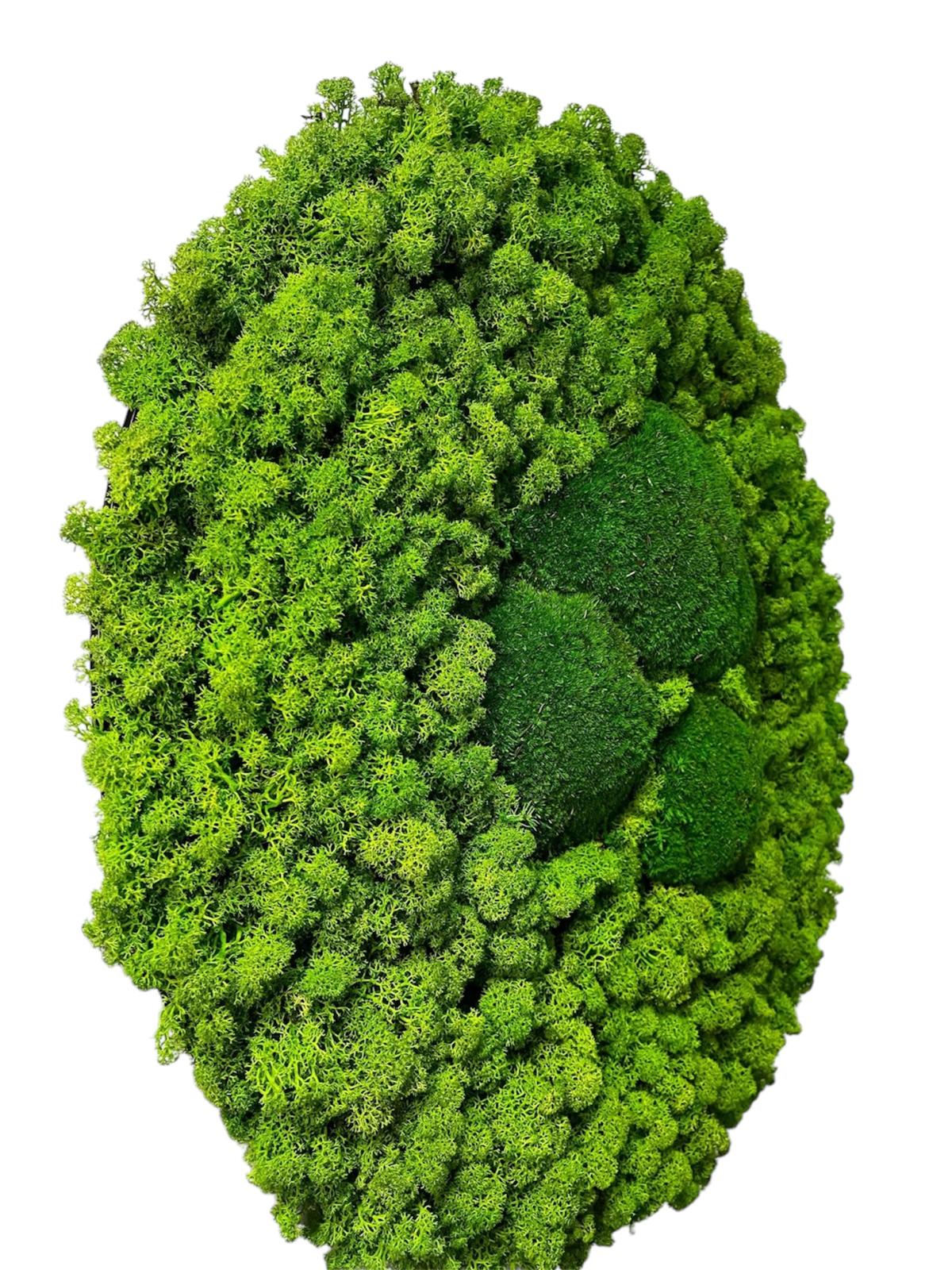 Grüne Harmonie
