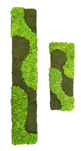 Waldgeflüster - der große Wald im Miniaturwald 2er Set