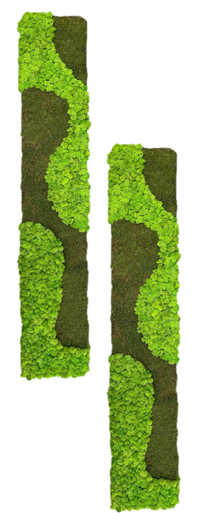 Waldgeflüster - Der große Wald 2er Set