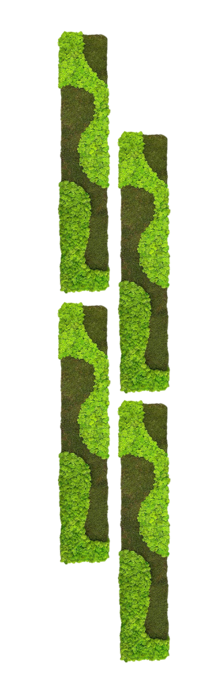 Waldgeflüster - Der große Wald 4er Set