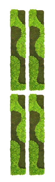 Waldgeflüster - Der große Wald 4er Set