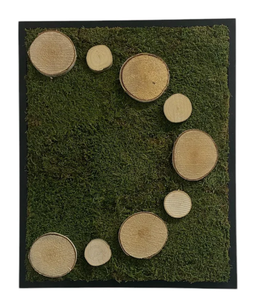 Kreis der Natur und Moosgipfel Set
