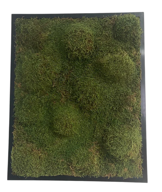 Kreis der Natur und Moosgipfel Set