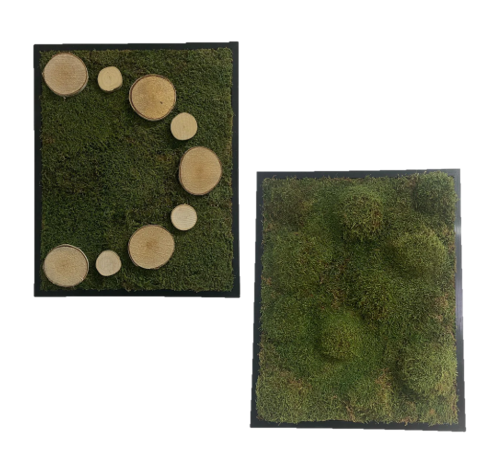 Kreis der Natur und Moosgipfel Set