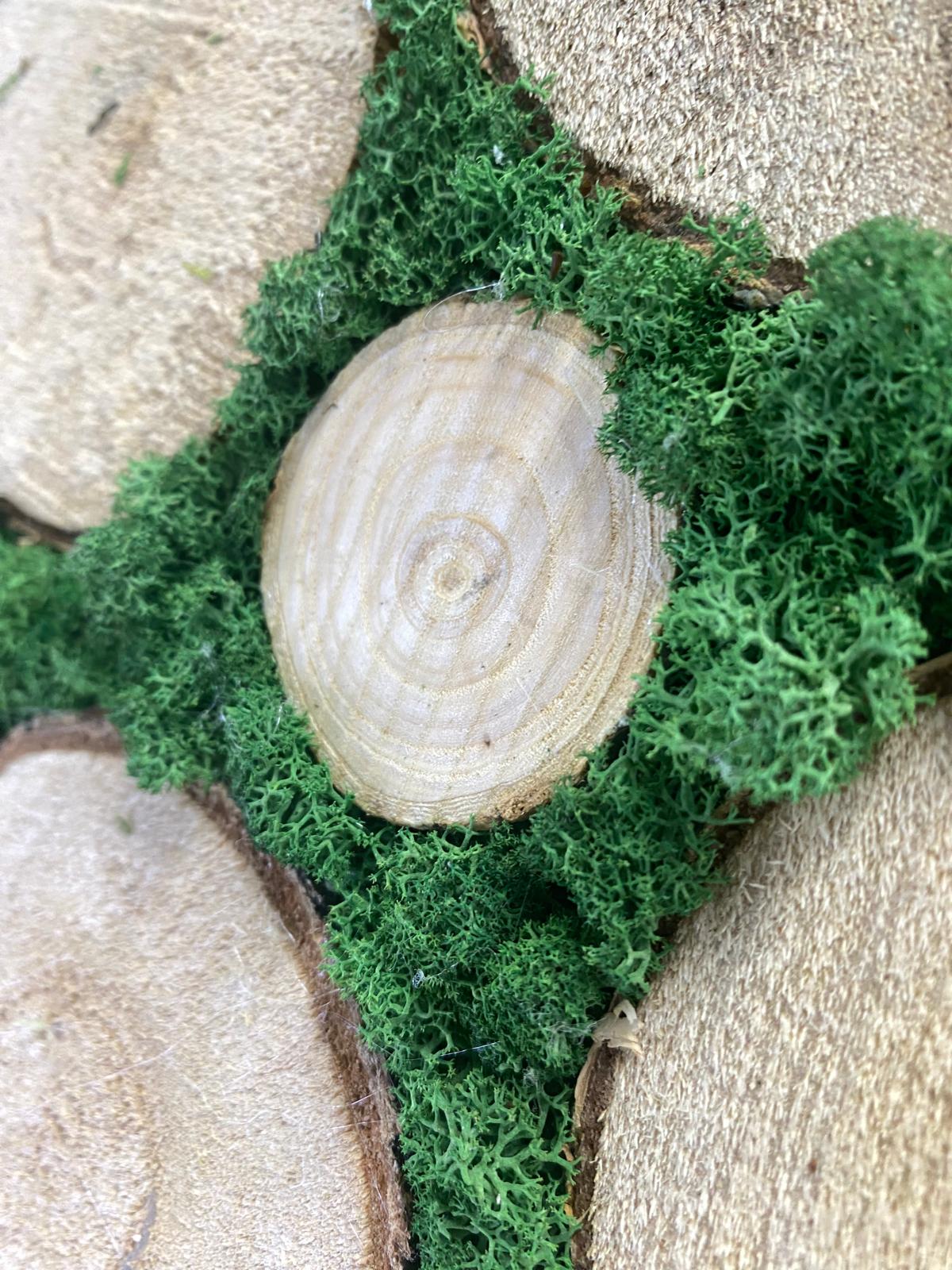 Ewiger Wald