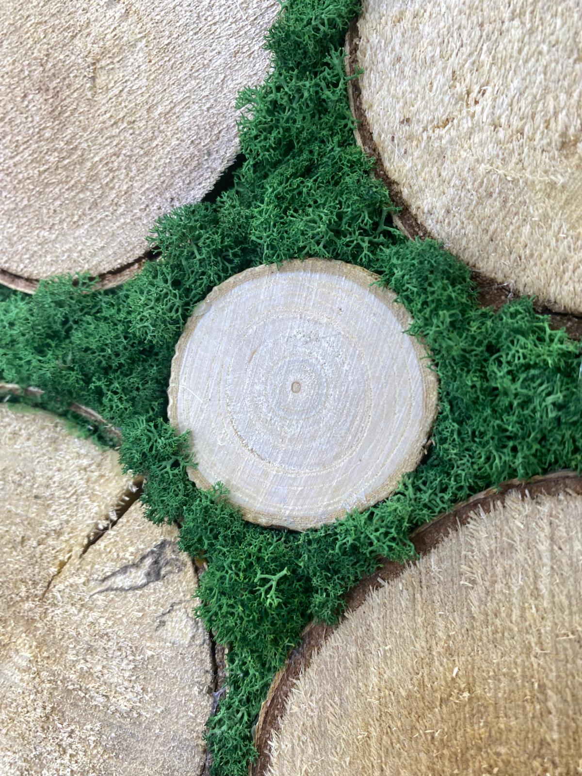 Ewiger Wald