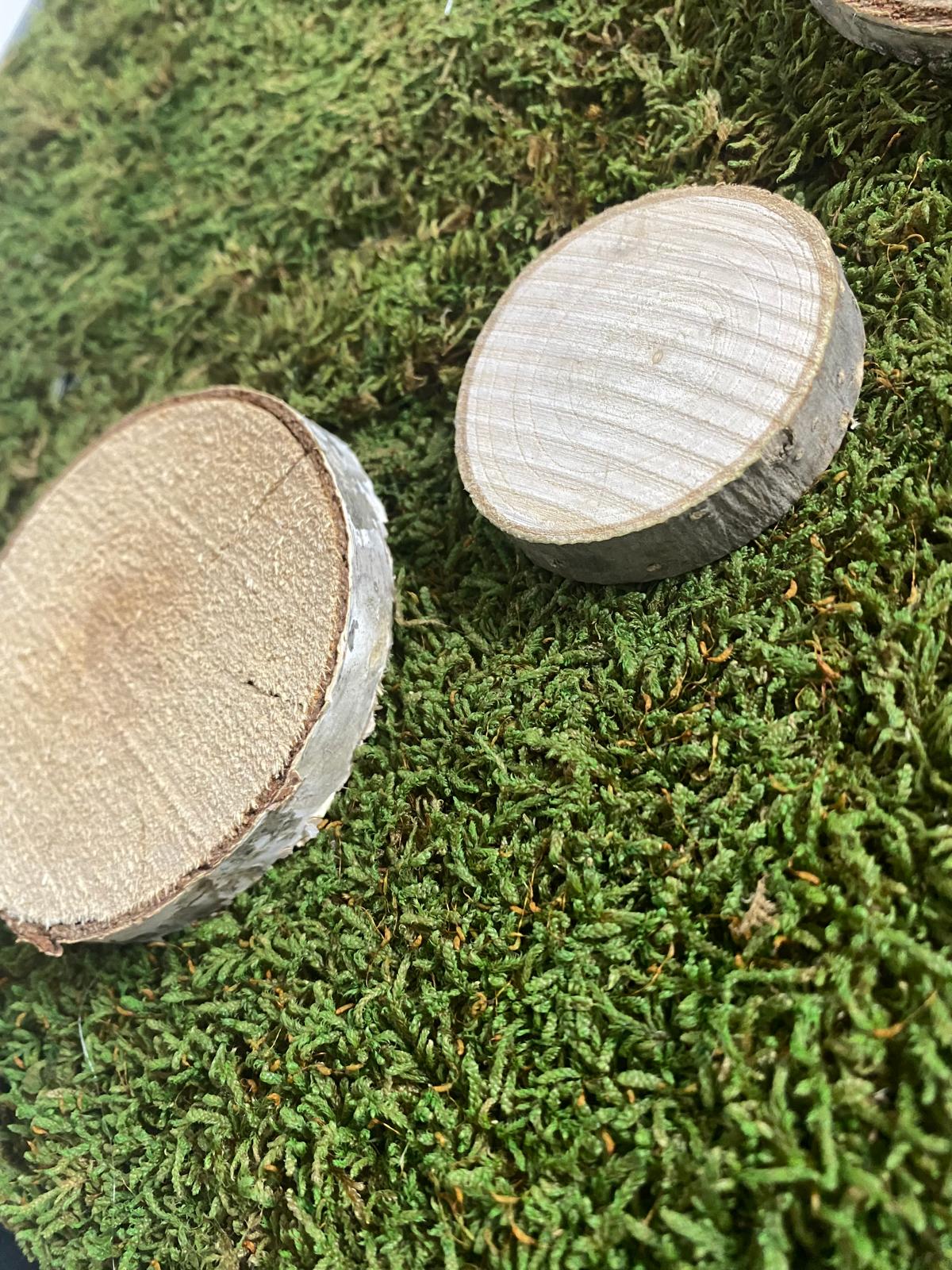 Kreis der Natur und Moosgipfel Set