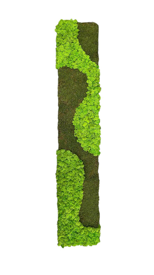 Waldgeflüster - Der große Wald