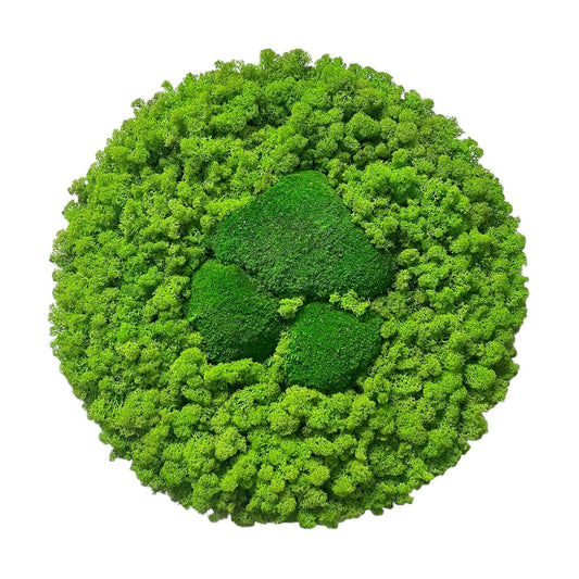 Grüne Harmonie