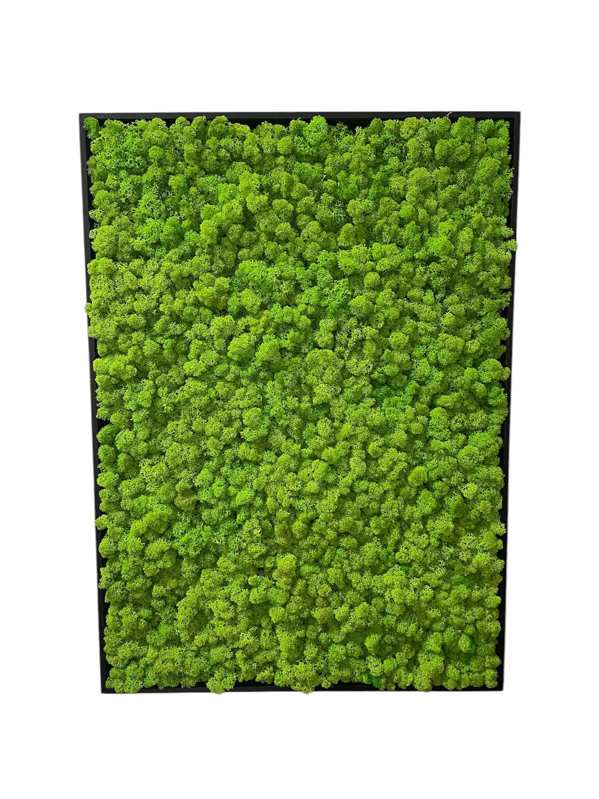 Grüne Brise - der große Atem