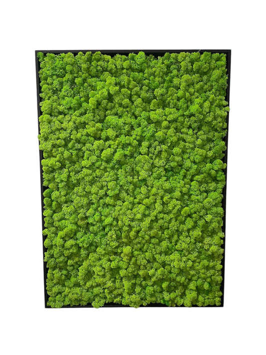 Grüne Brise - der große Atem