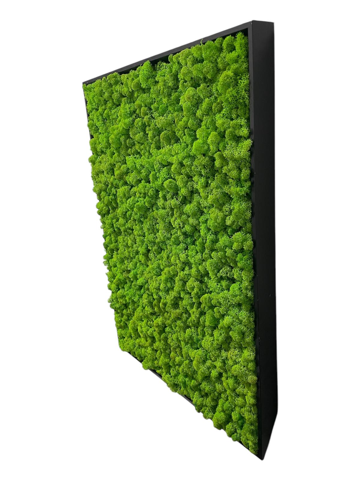 Grüne Brise - der große Atem