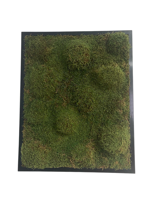 Moosgipfel